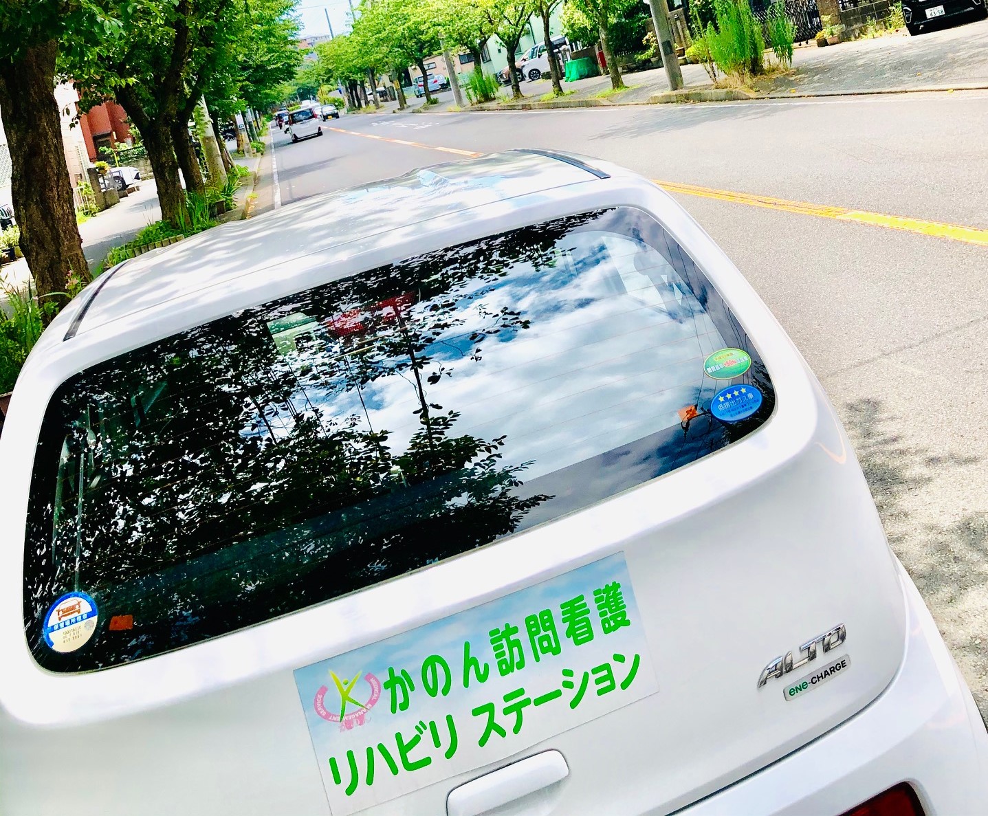 WordPress Theme Agent